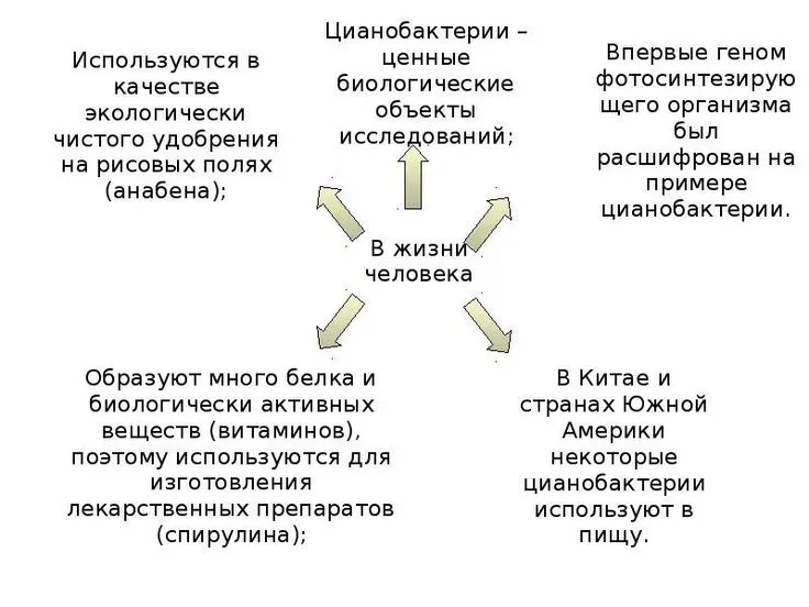 Синдром слепозрения: Исследование и его влияние на восприятие