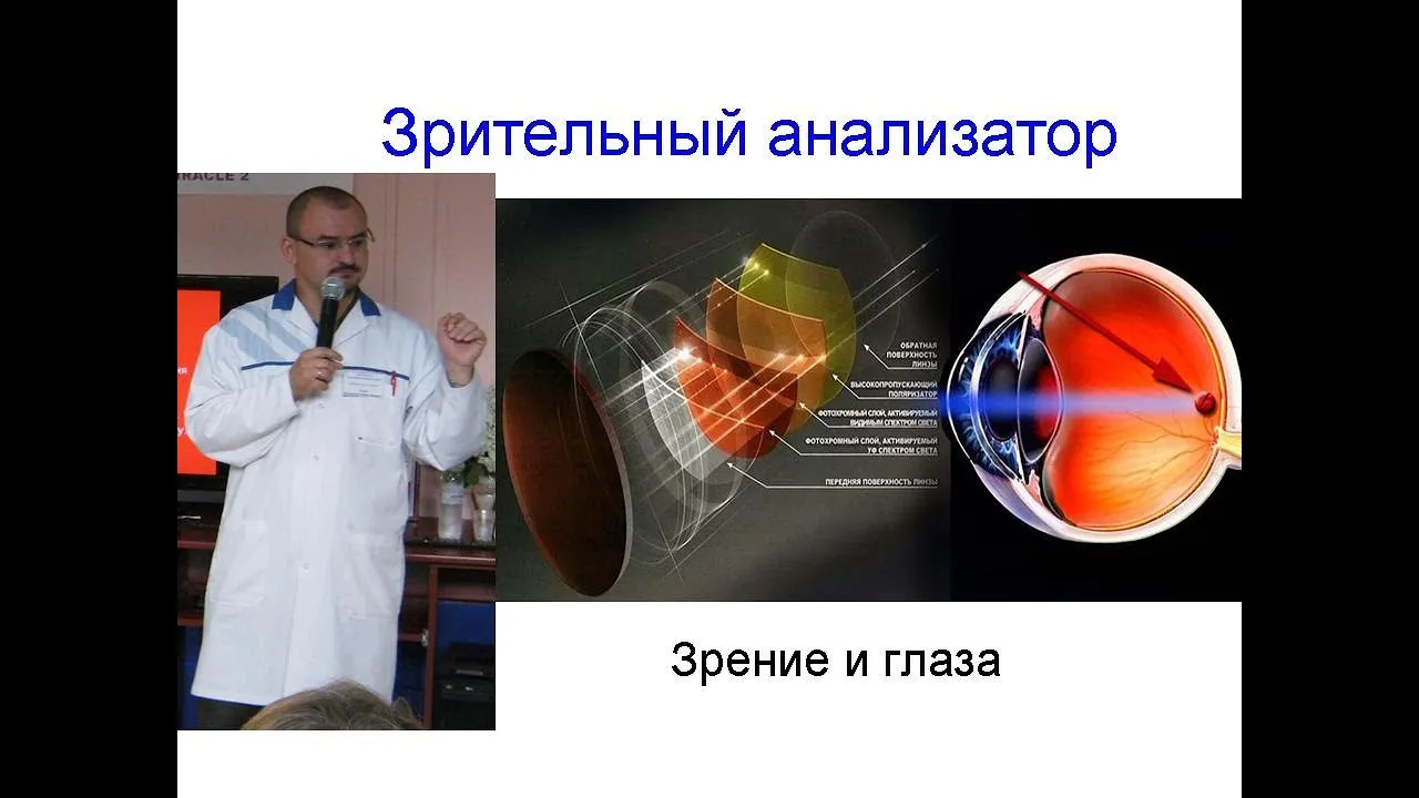 Заполнение в зрительном восприятии: Как работает наш мозг