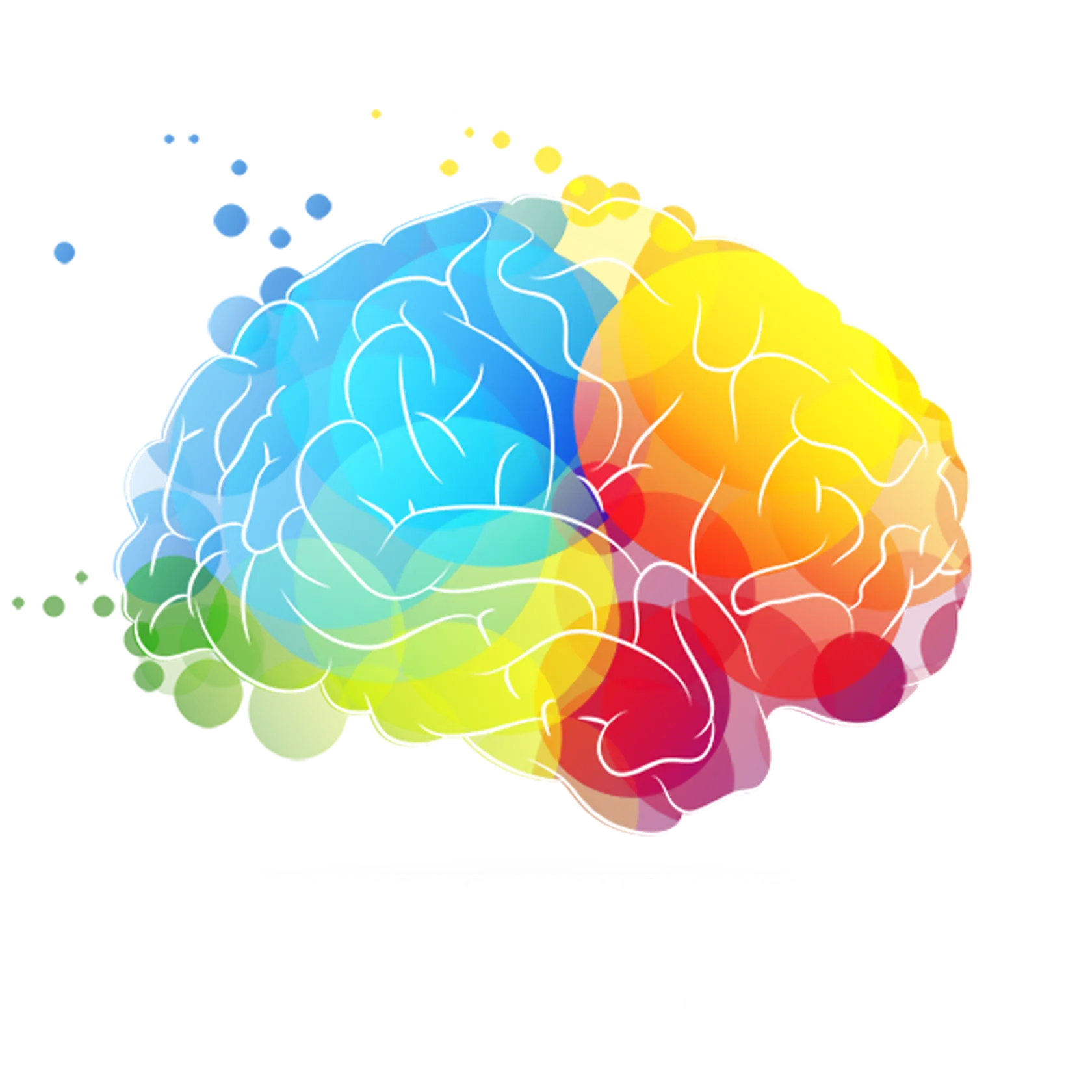 Как работают полушария мозга: преимущества и недостатки интерпретации информации